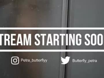 petra_butterfly